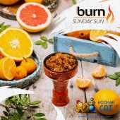 Табак Burn Sunday Sun (Цитрусовый Микс) 25г Акцизный